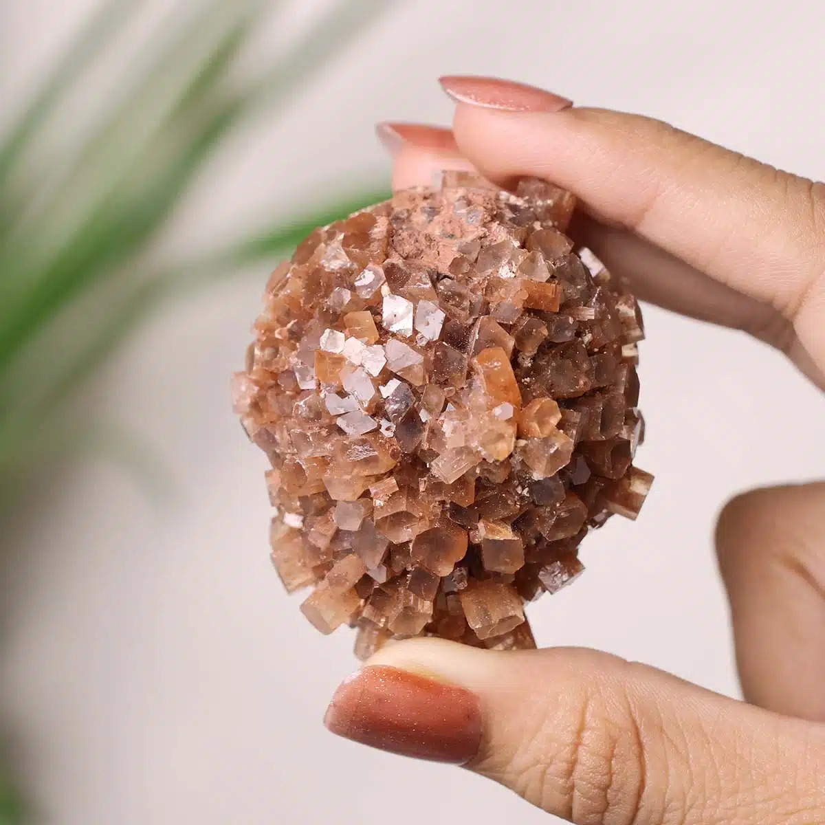 Aragonite