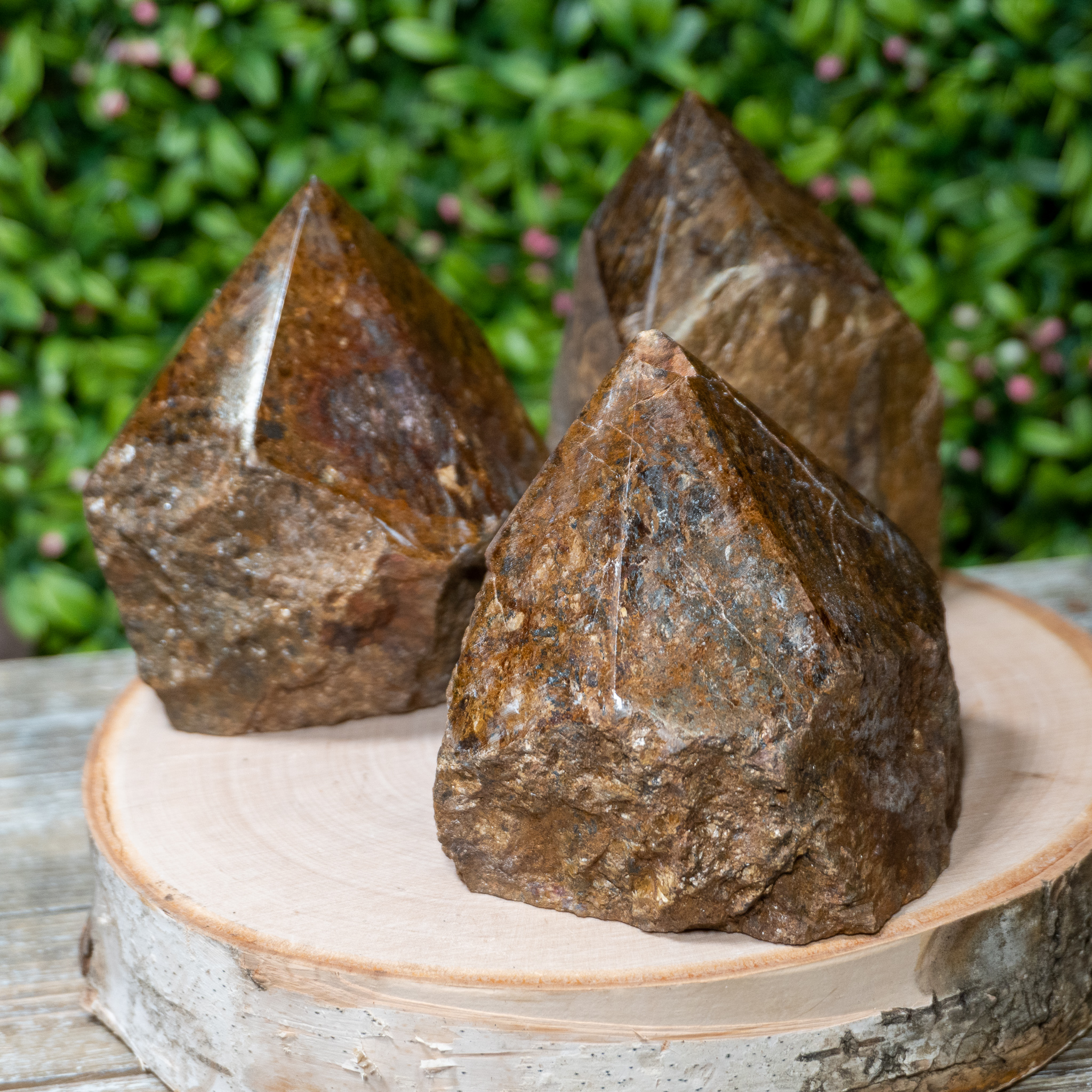 Bronzite
