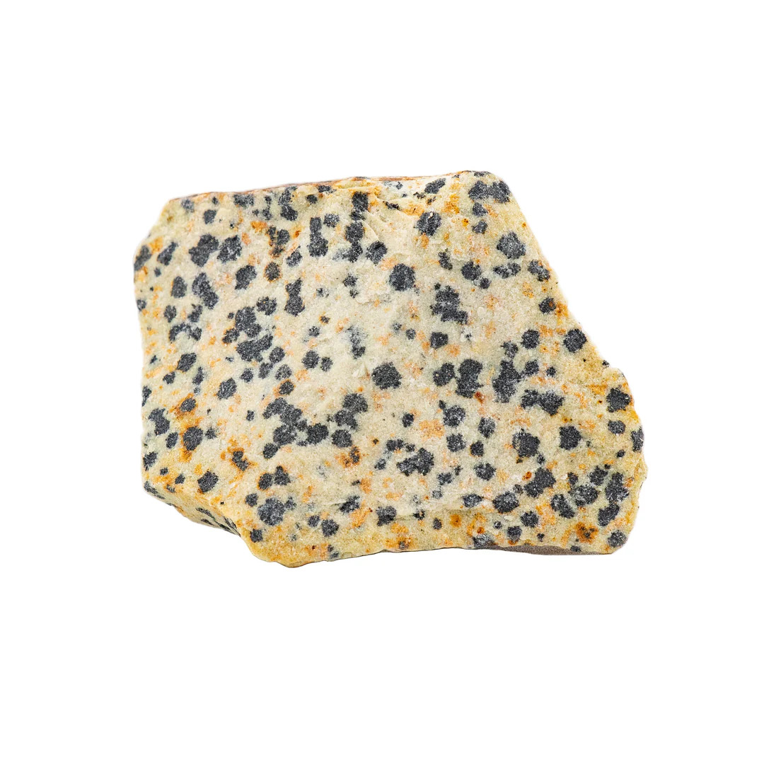 Dalmatian Jasper
