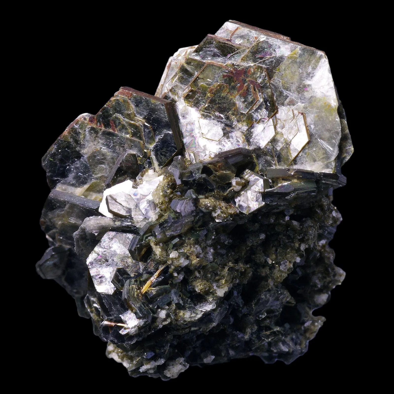 Muscovite