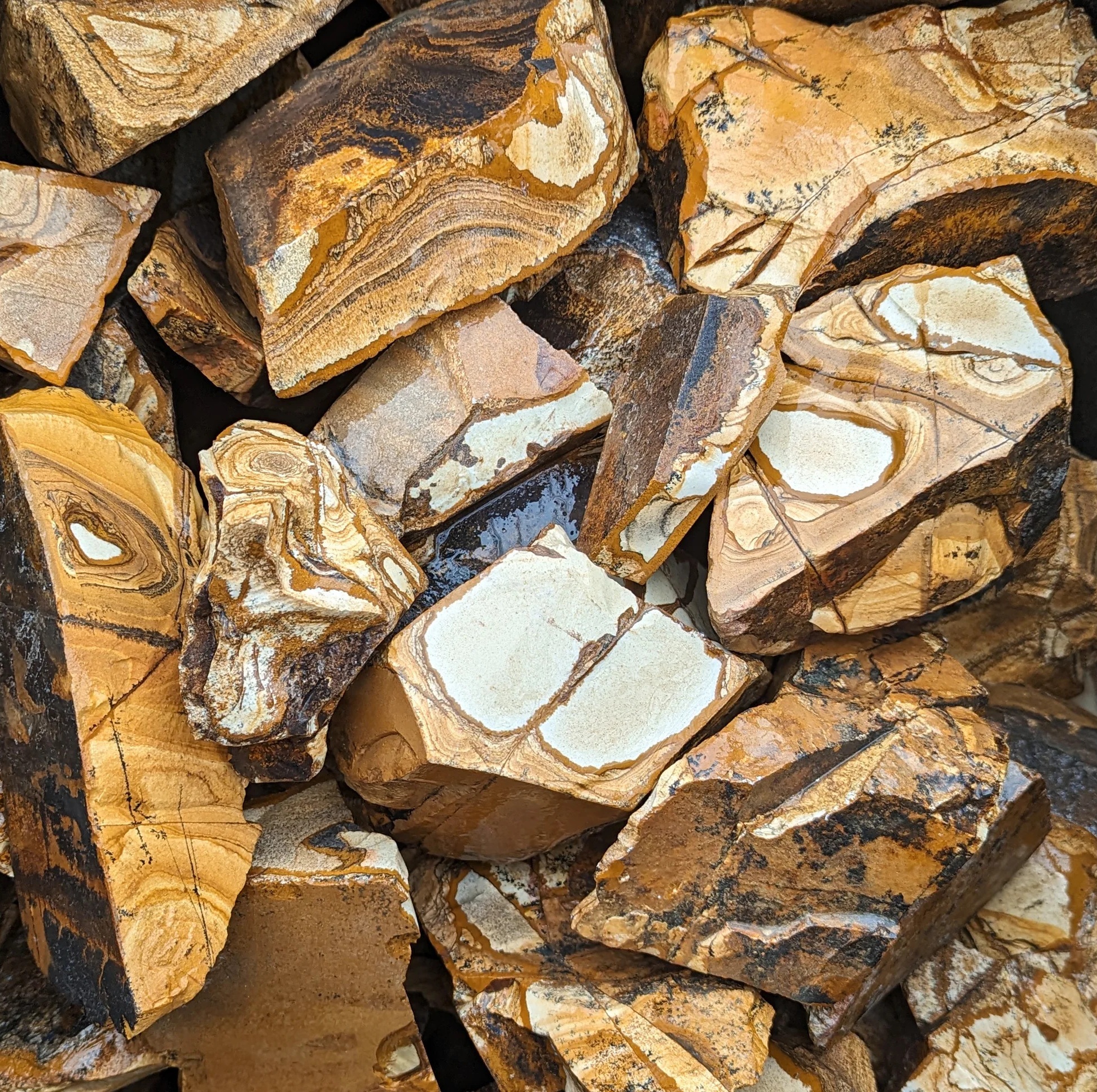 Picture Jasper