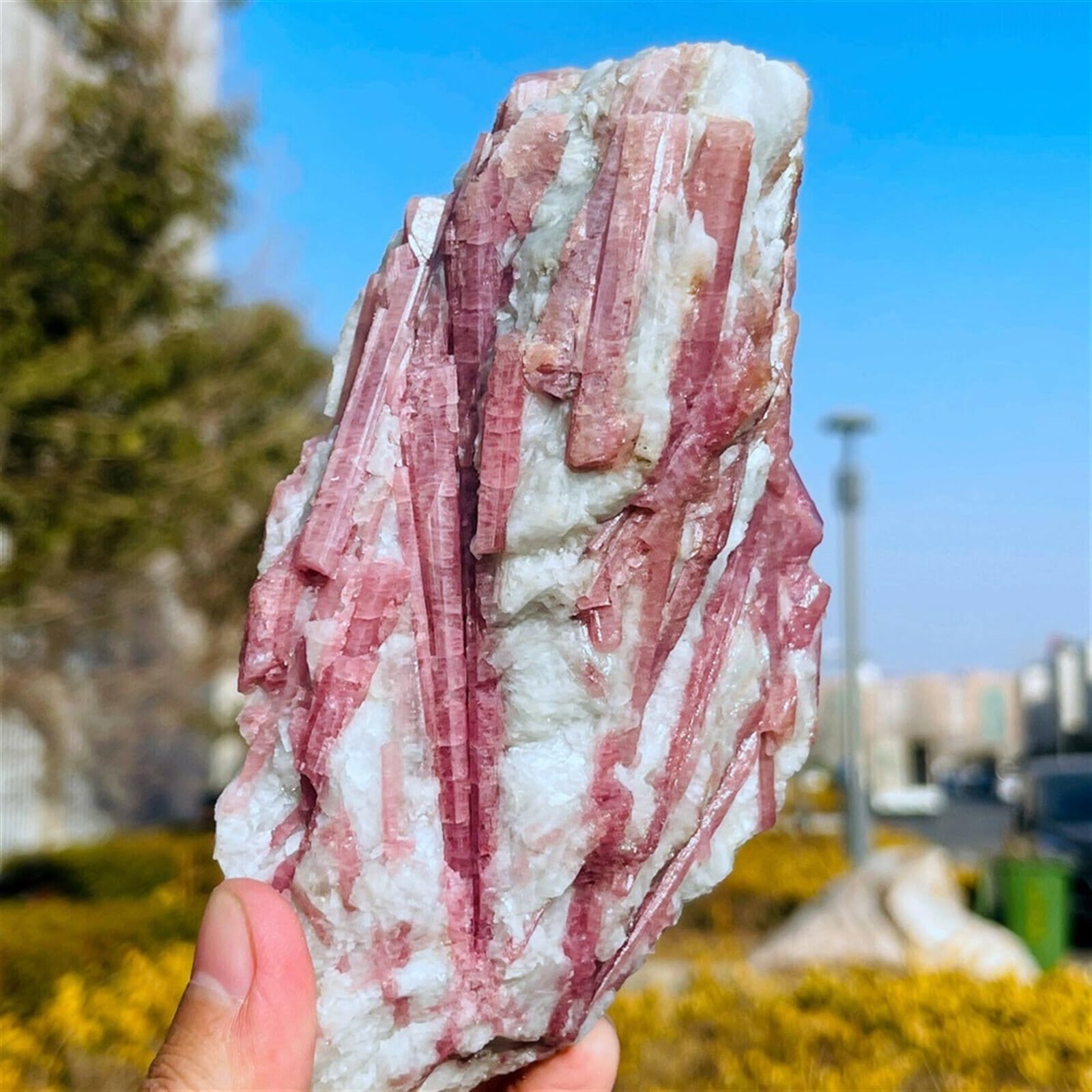 Pink Tourmaline