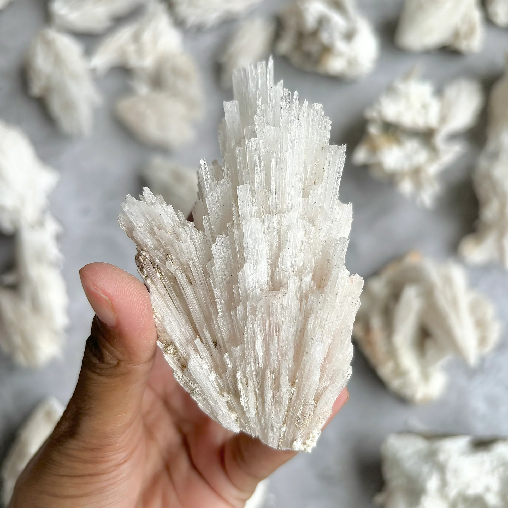 Scolecite
