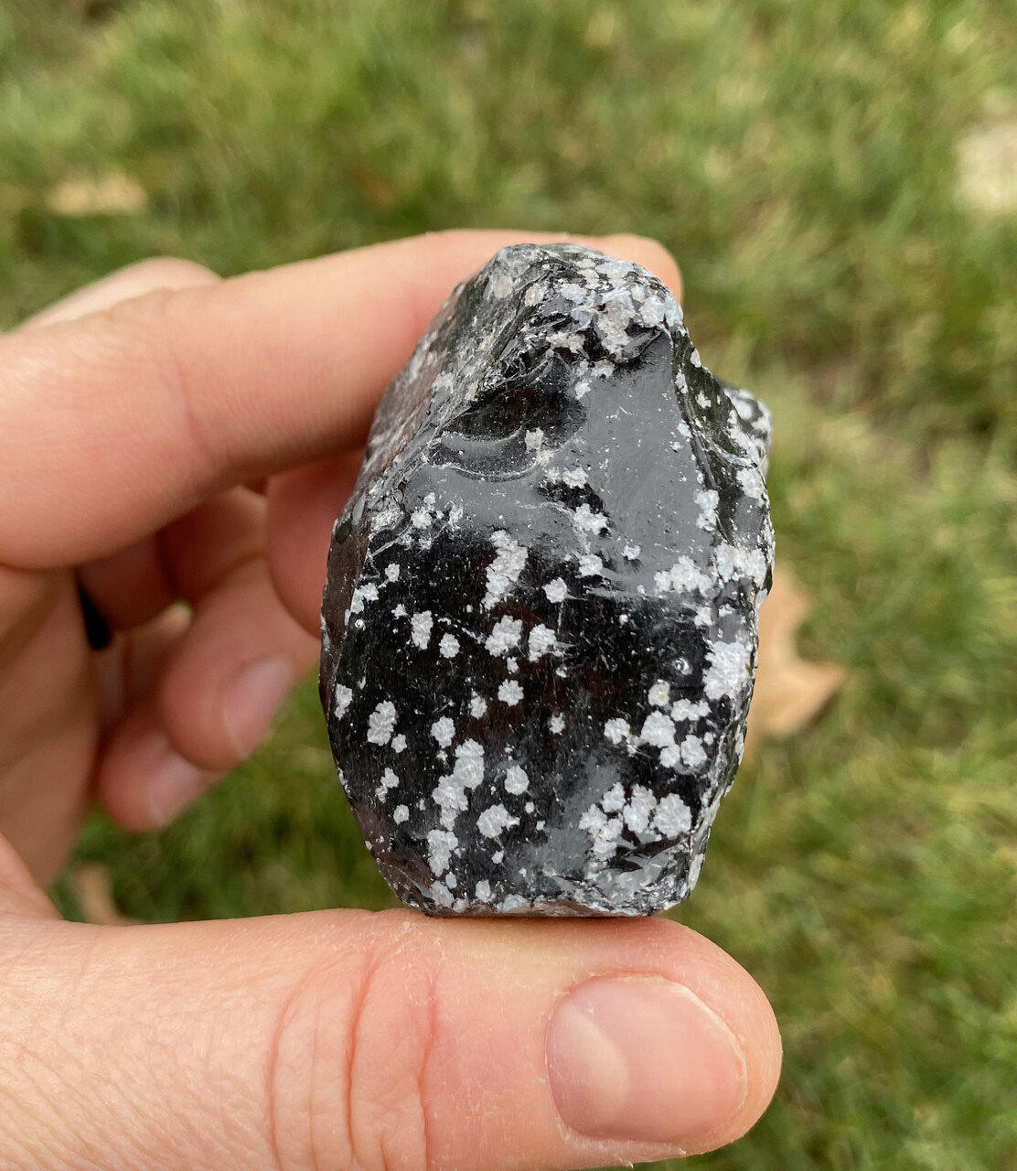 Snowflake Obsidian
